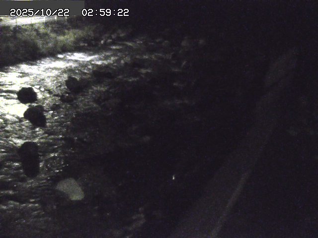 曳田川１2025/10/22 11:30:00