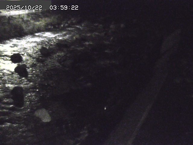 曳田川１2025/10/22 11:30:00