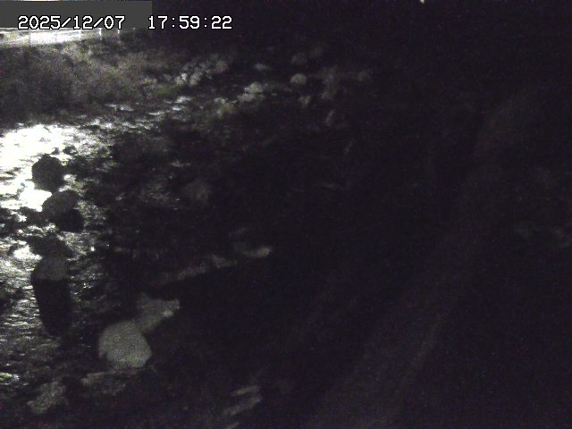 曳田川１2025/12/08 11:30:00