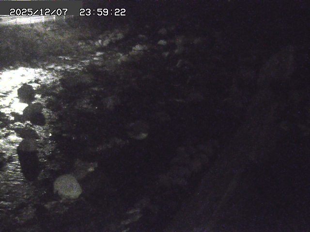 曳田川１2025/12/08 11:30:00