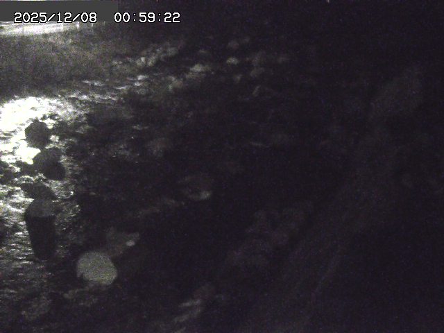 曳田川１2025/12/08 11:30:00