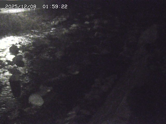 曳田川１2025/12/08 11:30:00