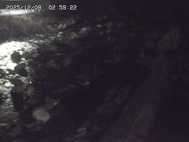 曳田川１2025/12/08 11:30:00