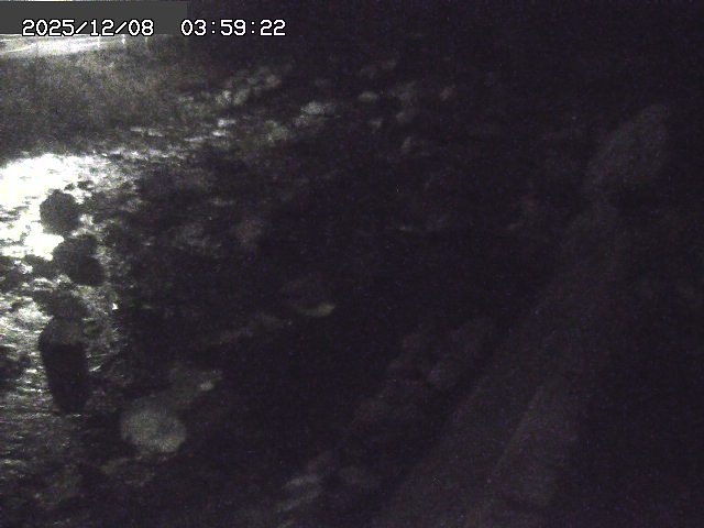 曳田川１2025/12/08 11:30:00