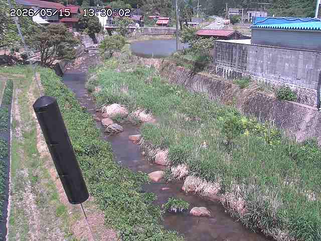 石見川２2026/05/15 17:20:00