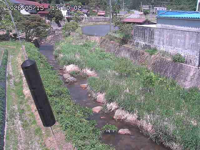 石見川２2026/05/15 17:20:00