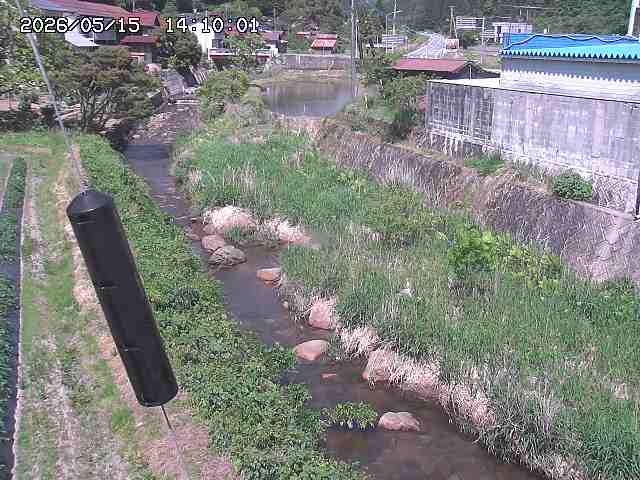 石見川２2026/05/15 17:20:00