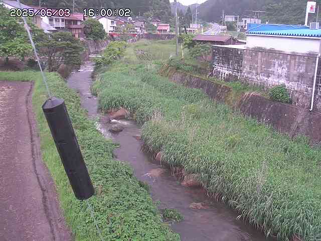 石見川２2025/06/04 3:30:00