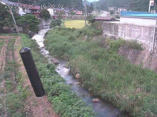 石見川２2025/09/16 19:50:00