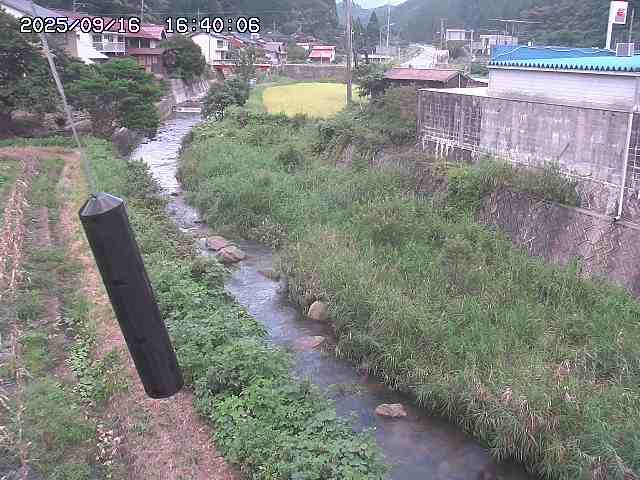 石見川２2025/09/16 19:50:00