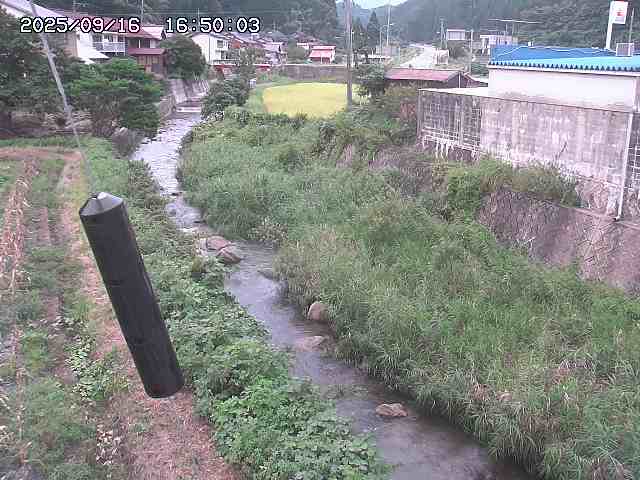 石見川２2025/09/16 19:50:00