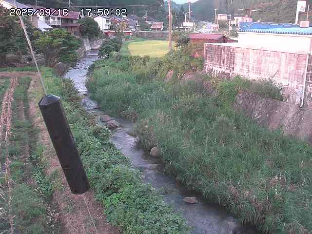 石見川２2025/09/16 19:50:00