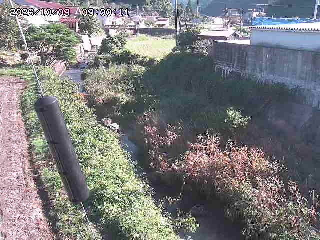 石見川２2026/10/09 19:30:00