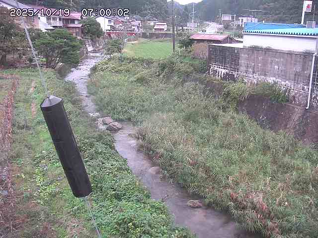 石見川２2025/10/19 21:20:00