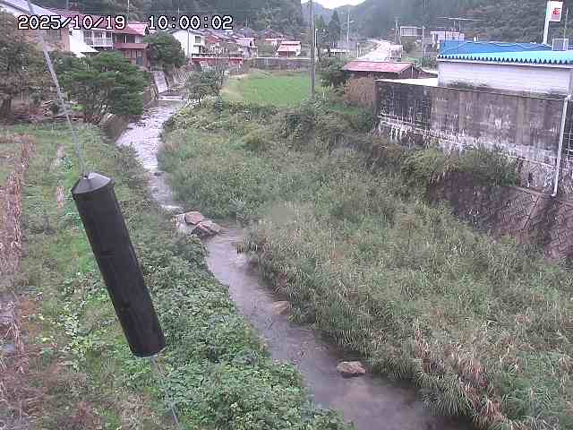 石見川２2025/10/19 21:20:00