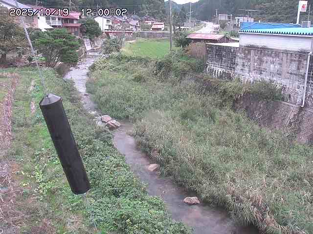 石見川２2025/10/19 21:20:00