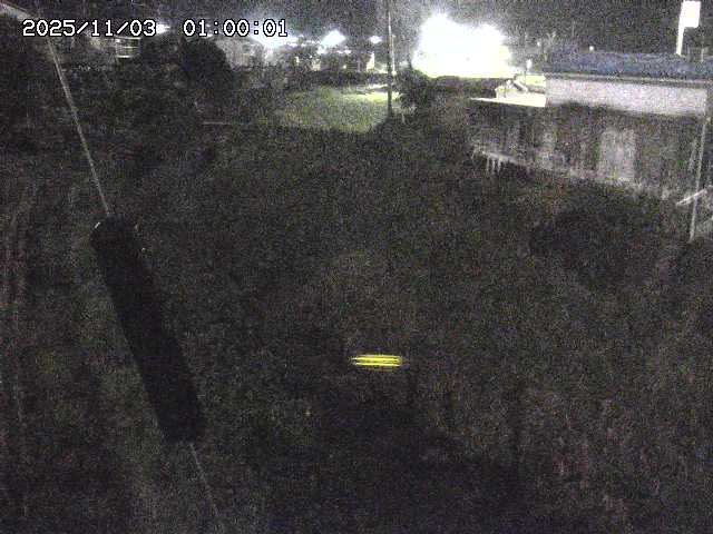 石見川２2025/11/03 14:40:00