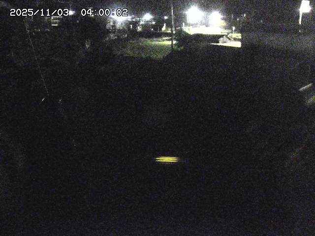 石見川２2025/11/03 14:40:00