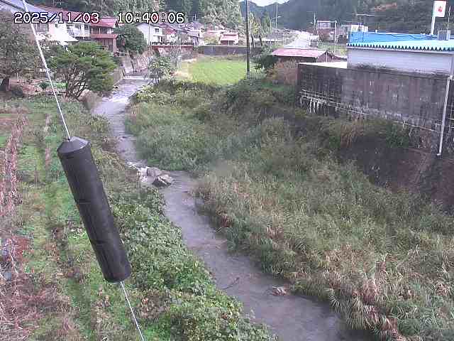 石見川２2025/11/03 14:40:00