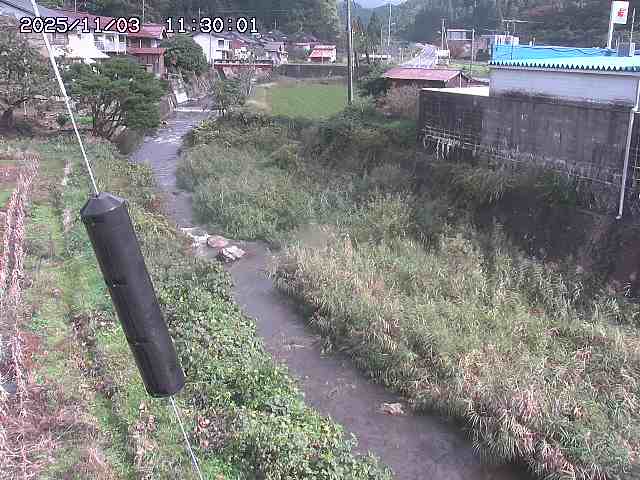 石見川２2025/11/03 14:40:00