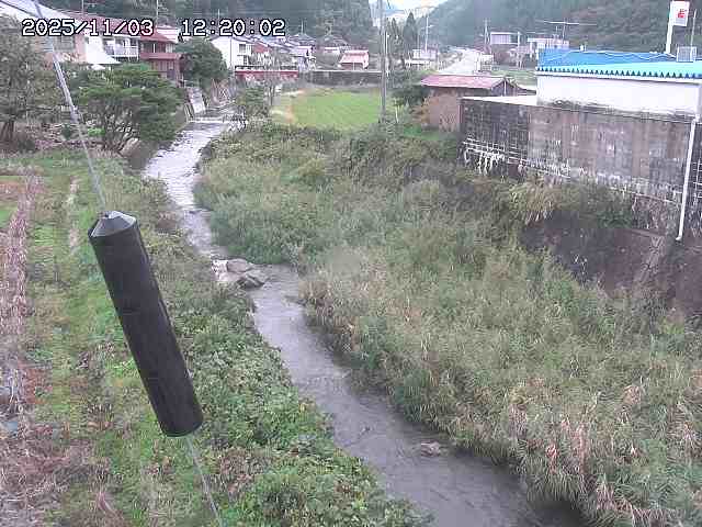 石見川２2025/11/03 14:40:00