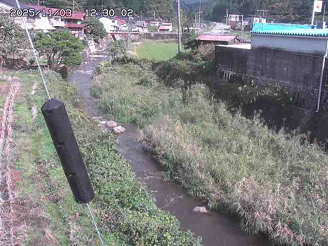 石見川２2025/11/03 14:40:00