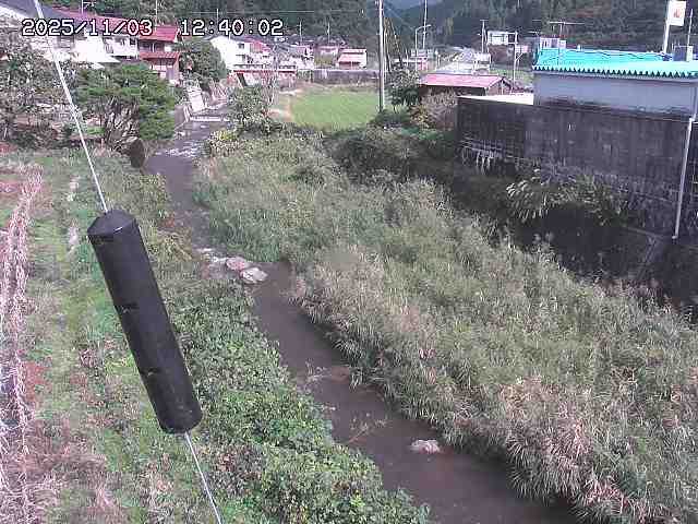 石見川２2025/11/03 14:40:00