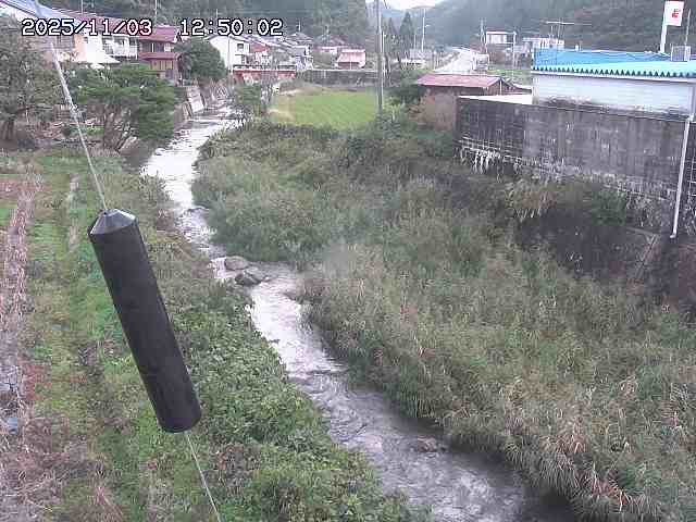 石見川２2025/11/03 14:40:00