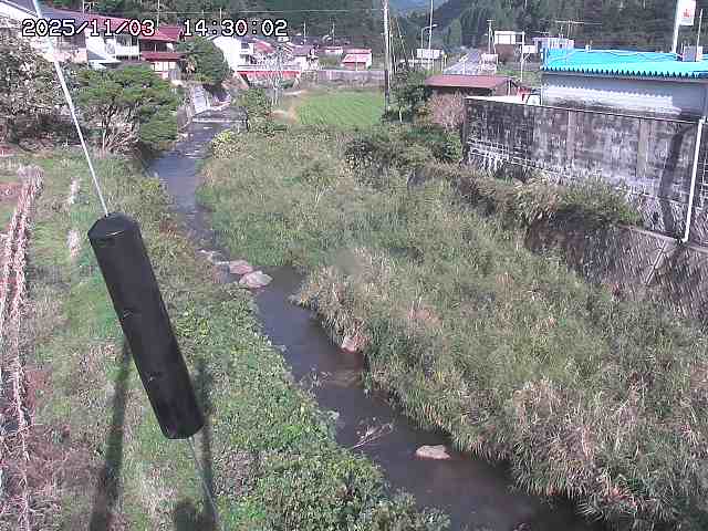 石見川２2025/11/03 14:40:00