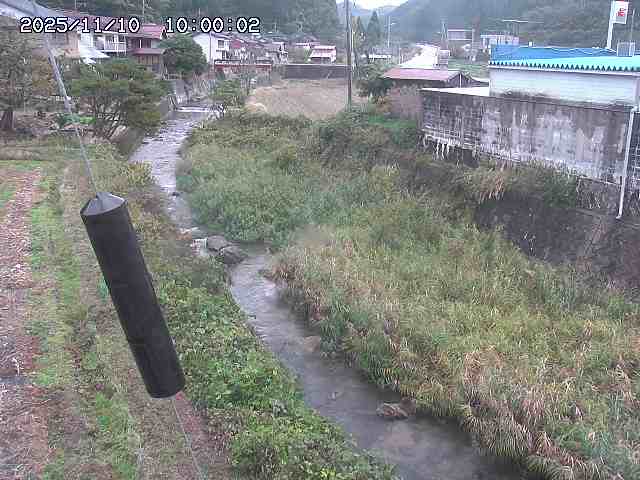 石見川２2025/11/10 15:30:00