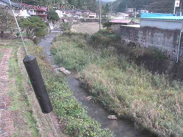 石見川２2025/11/10 15:30:00