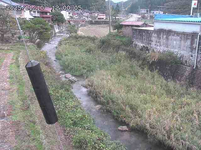 石見川２2025/11/10 15:30:00