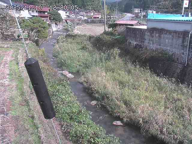 石見川２2025/11/10 15:30:00