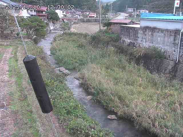 石見川２2025/11/10 15:30:00