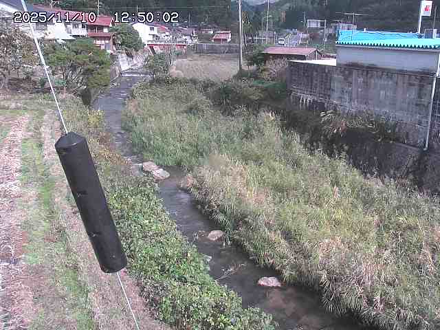 石見川２2025/11/10 15:30:00