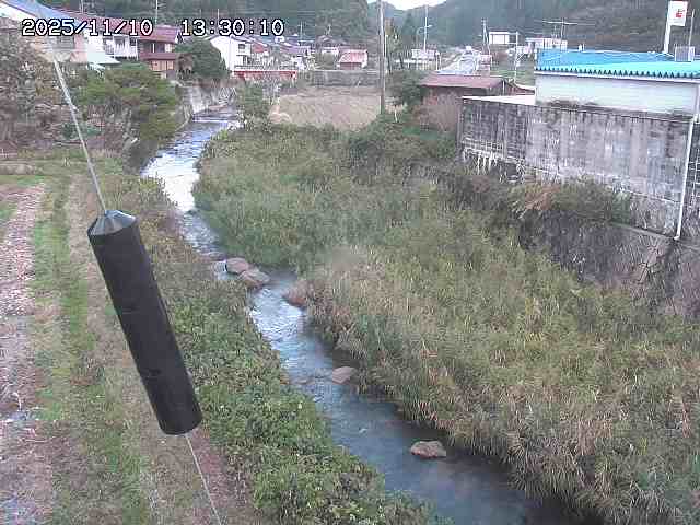 石見川２2025/11/10 15:30:00
