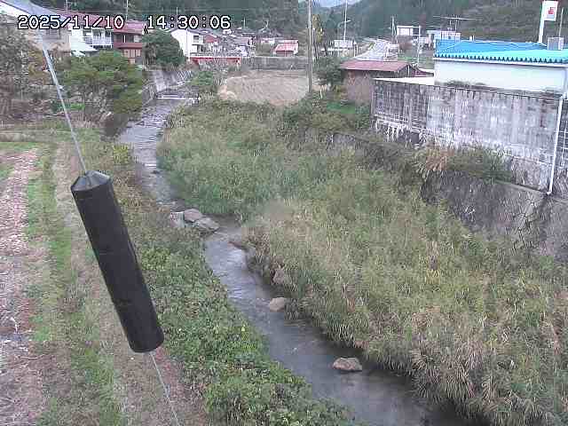 石見川２2025/11/10 15:30:00