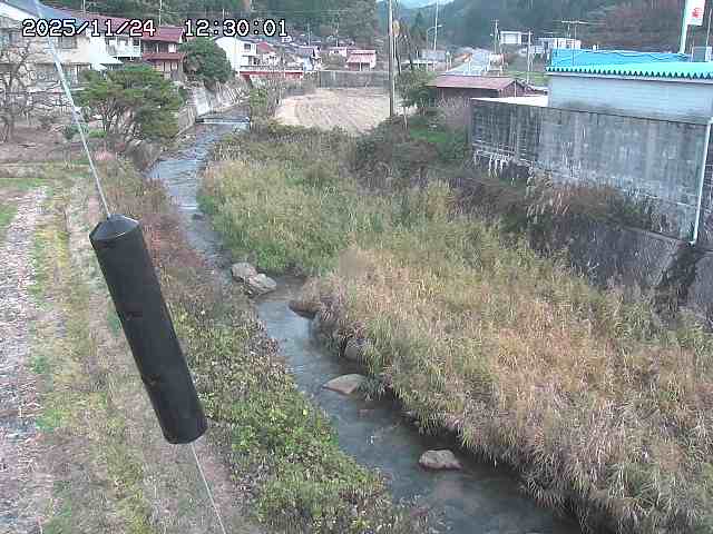 石見川２2025/11/24 16:00:00