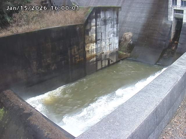 賀祥ダム１（下流）2026/01/16 15:50:00