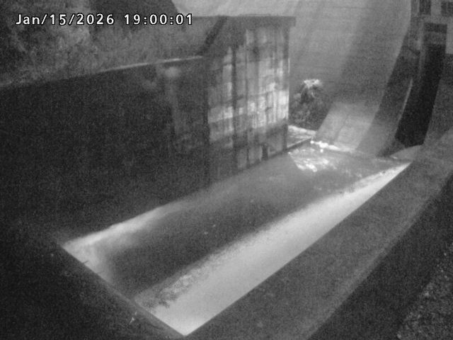 賀祥ダム１（下流）2026/01/16 15:50:00