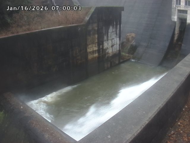 賀祥ダム１（下流）2026/01/16 15:50:00