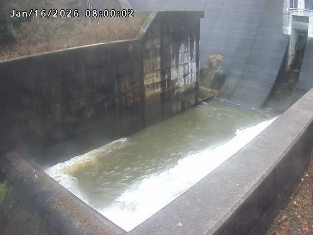 賀祥ダム１（下流）2026/01/16 15:50:00