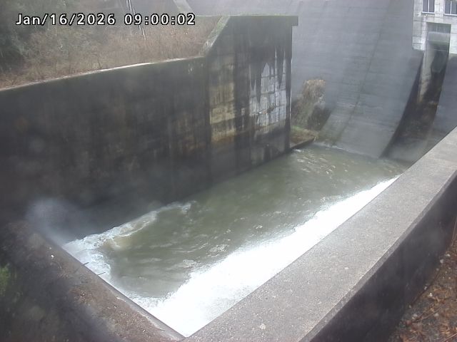 賀祥ダム１（下流）2026/01/16 15:50:00
