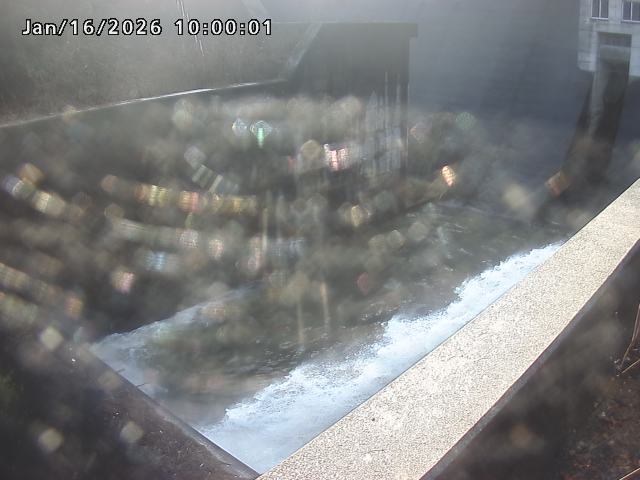 賀祥ダム１（下流）2026/01/16 15:50:00