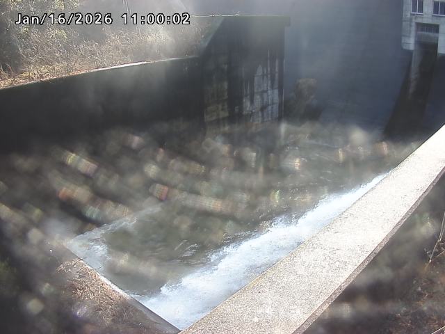 賀祥ダム１（下流）2026/01/16 15:50:00