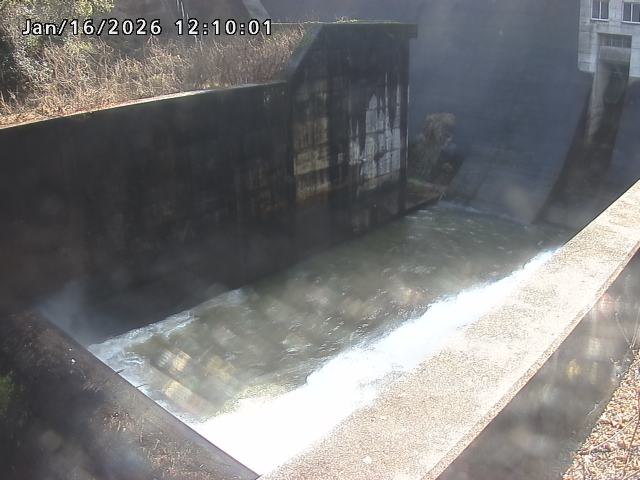 賀祥ダム１（下流）2026/01/16 15:50:00