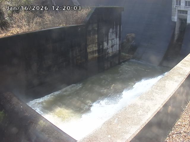 賀祥ダム１（下流）2026/01/16 15:50:00