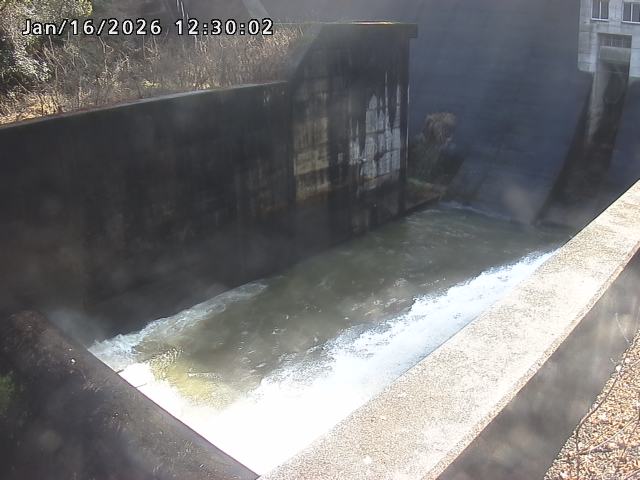 賀祥ダム１（下流）2026/01/16 15:50:00
