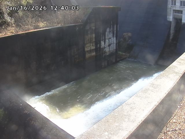 賀祥ダム１（下流）2026/01/16 15:50:00