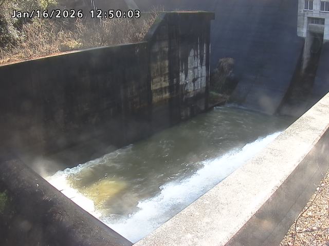 賀祥ダム１（下流）2026/01/16 15:50:00